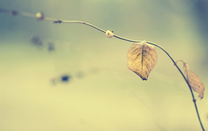 Instant Casino App: Ultimate Mobile Casino Experience